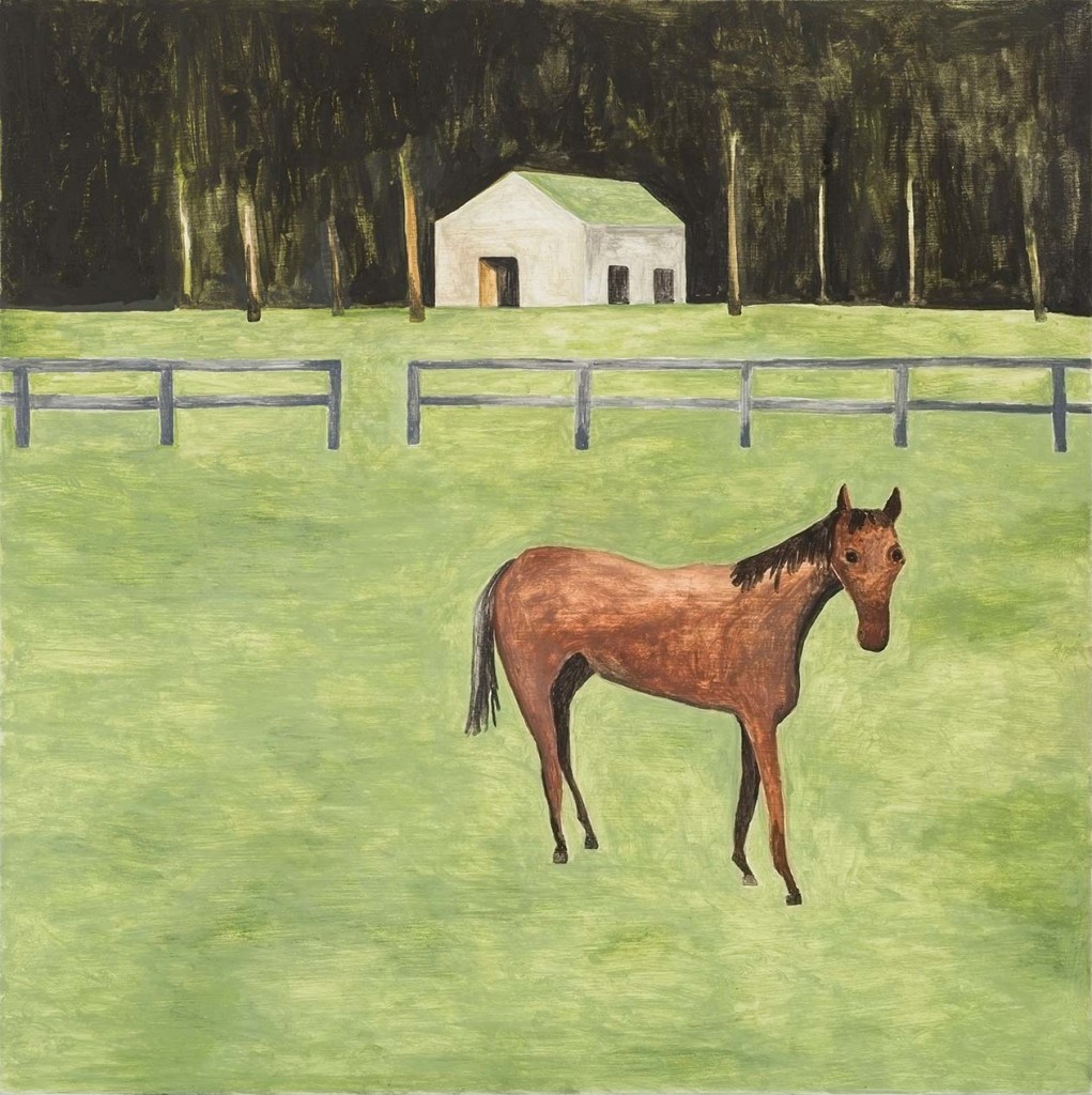 NMK-010-14-Horse-on-Rural-Property_hr