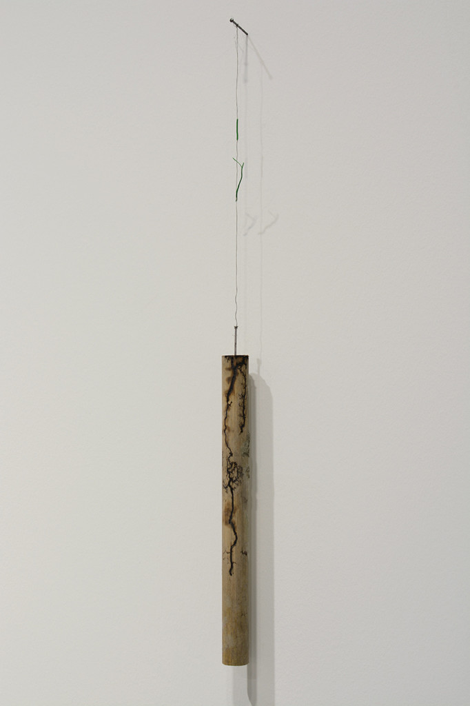 Nina-Canell_Halfway-Between-Opposite-Ends_3000-volt,-wood,-salt,-water_27-x-2-x-2-cm_2016_2_hr