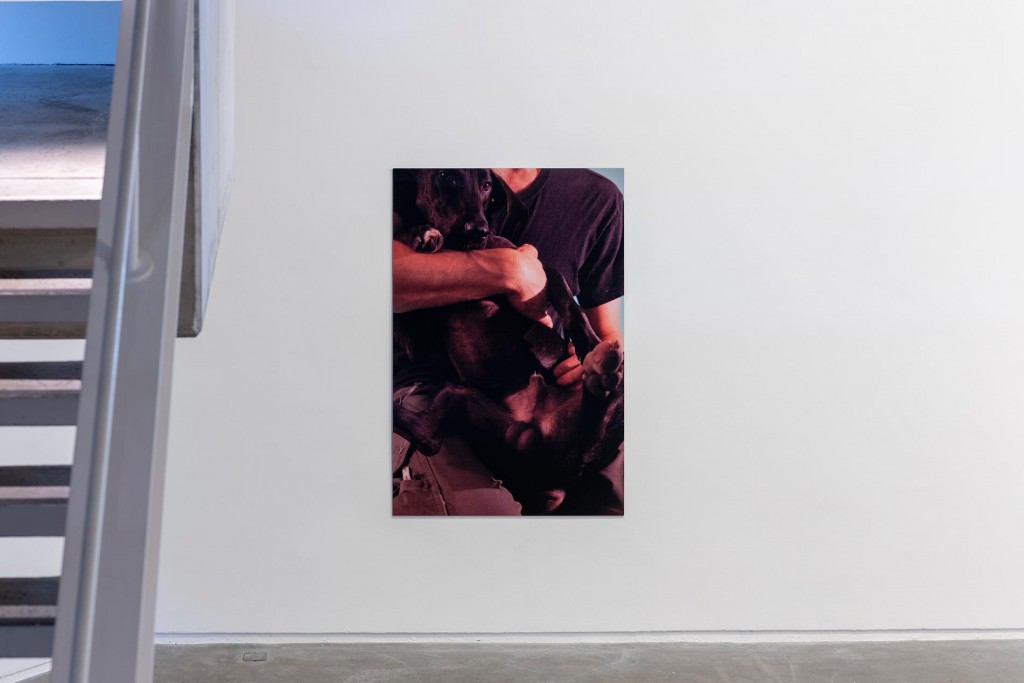 23.-UA_Take-This-Dog-For-Example,-Douglas-Hyde-Gallery_2023_Installation-view_Copyright-the-artist-and-mother's-tankstation-limited