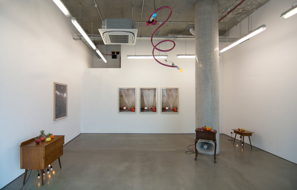 1.-Yuko-Mohri_Sweet-to-Tongue-and-Sound-to-Eye_2023_Installation-view_Copyright-the-artist-and-mother's-tankstation-limited